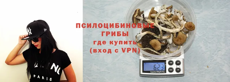 Галлюциногенные грибы Psilocybine cubensis  цены   Майкоп 